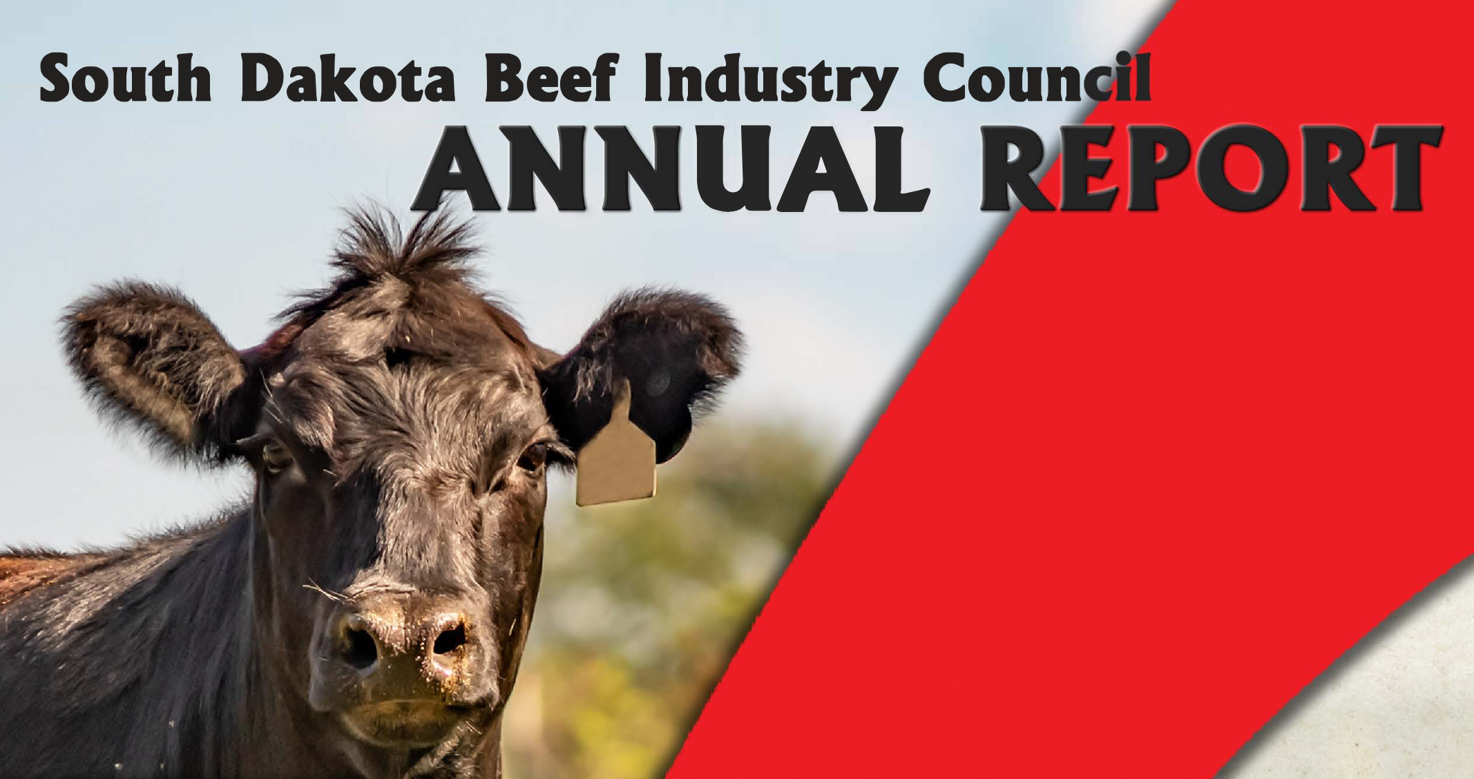 South Dakota Beef Industry Council