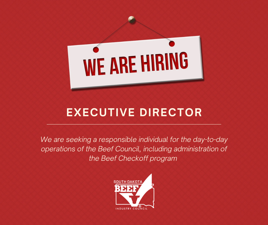 SDBIC Hiring an Executive Director 